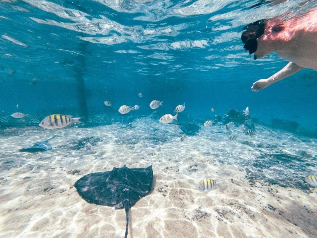Hostal Mx 5Th Avenue Playa del Carmen Luaran gambar